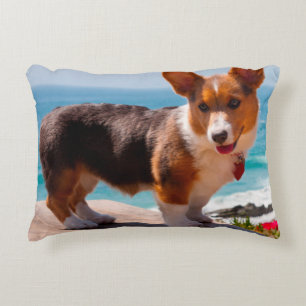 Pembroke Welsh Corgi puppy standing on table Decorative Cushion