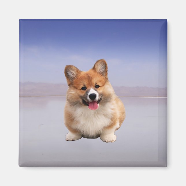 Pembroke Welsh Corgi Sitting On Beach Magnet (Front)