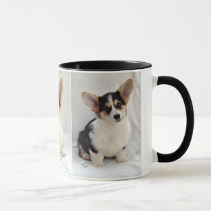 Pembroke Welsh Corgi Tri-Colour Puppy On Your Mug