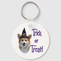 Pembroke Welsh Corgi Trick