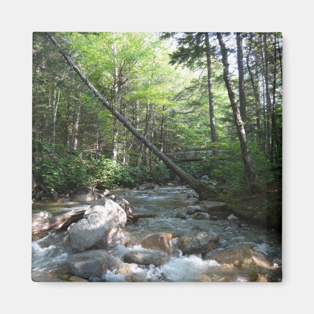 Pemigewasset River Bridge in New Hampshire Magnet (Front)