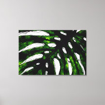 Pen and Green Ink Monstera Leaf Drawing