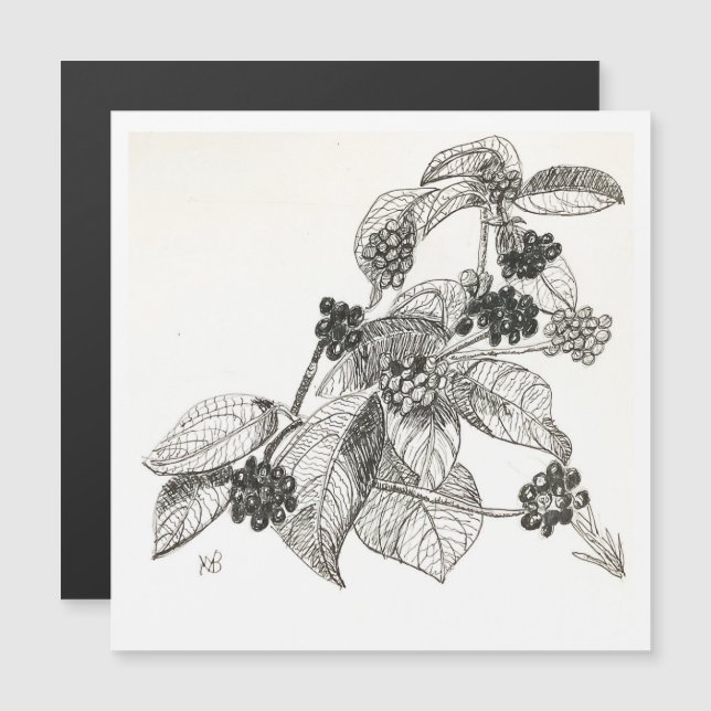 Pen and Ink Blackberries (Front/Back)