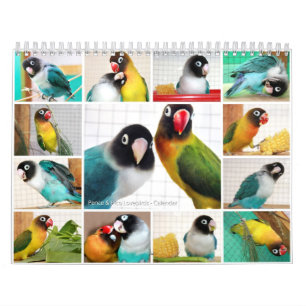 Pence-Pico lovebirds Calendar