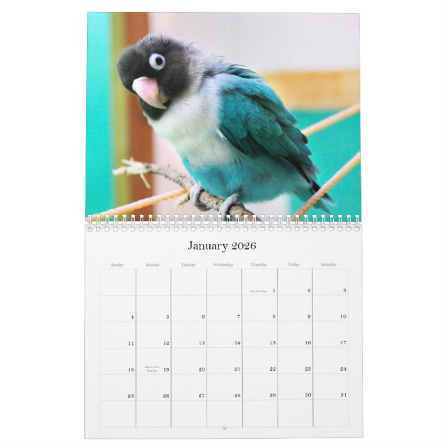 Pence-Pico lovebirds Calendar (Jan 2026)