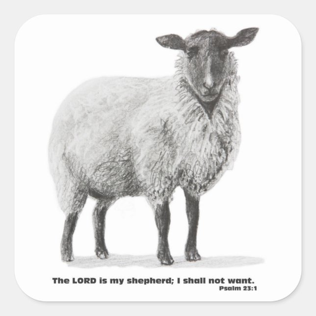 Pencil drawing sheep square sticker (Front)