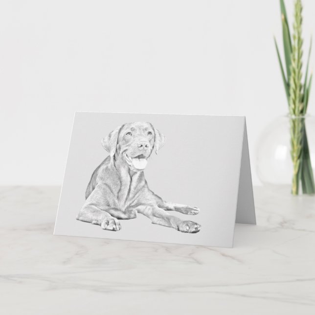 Pencil Drawn Labrador Retriever Greeting Card (Front)