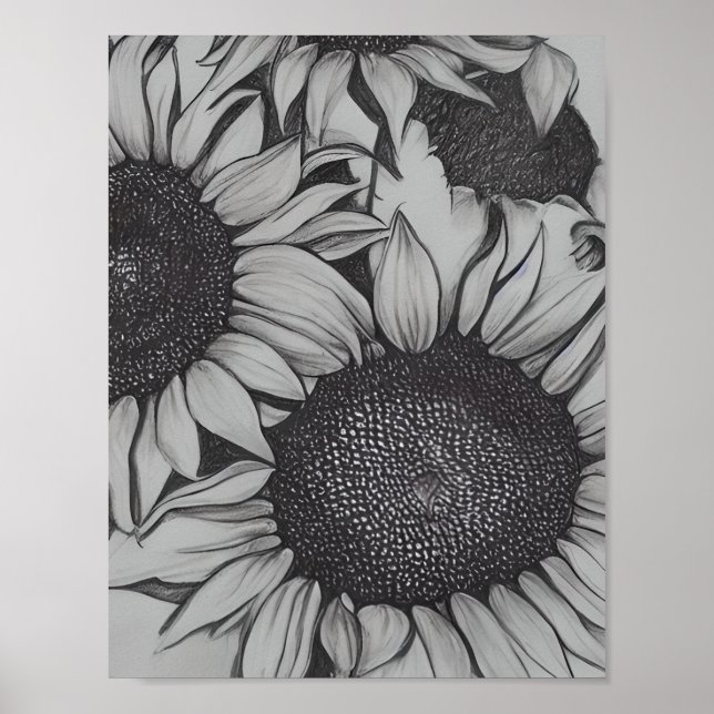 Pencil Drawn Sunflowers Poster (Front)