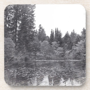 pencil sketch botanical garden, trees, bushes coaster