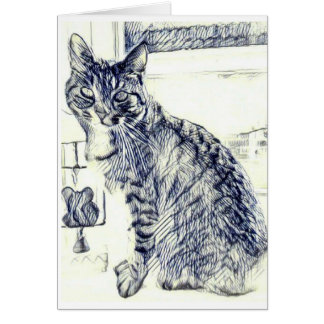 Pencil sketch of a cat on a blank card