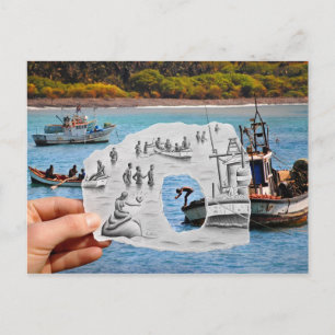 Pencil Vs Camera - Mermaid Postcard