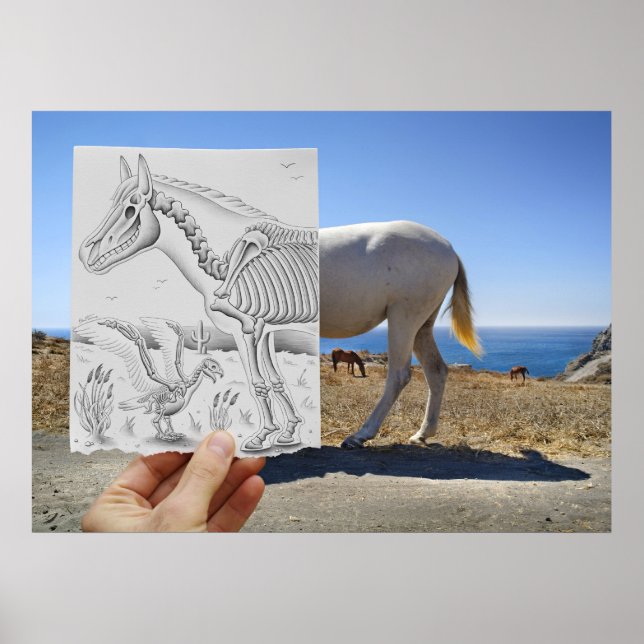 Pencil Vs Camera - X-Ray Poster (Front)