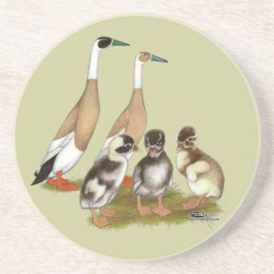 Penciled Runner Duck Family Coaster