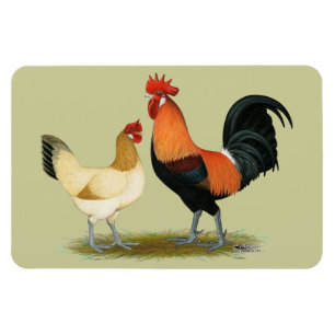 Penedesenca Chickens Magnet