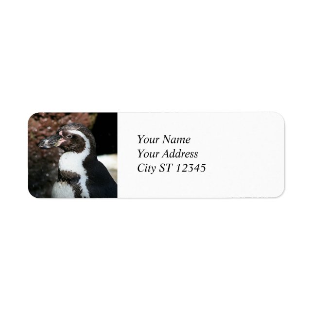 Penguin Address Label (Front)