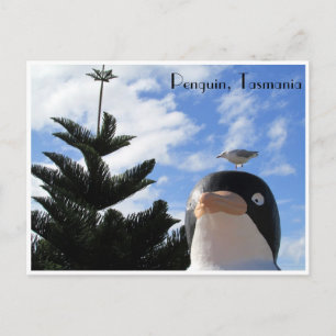 penguin and gull postcard