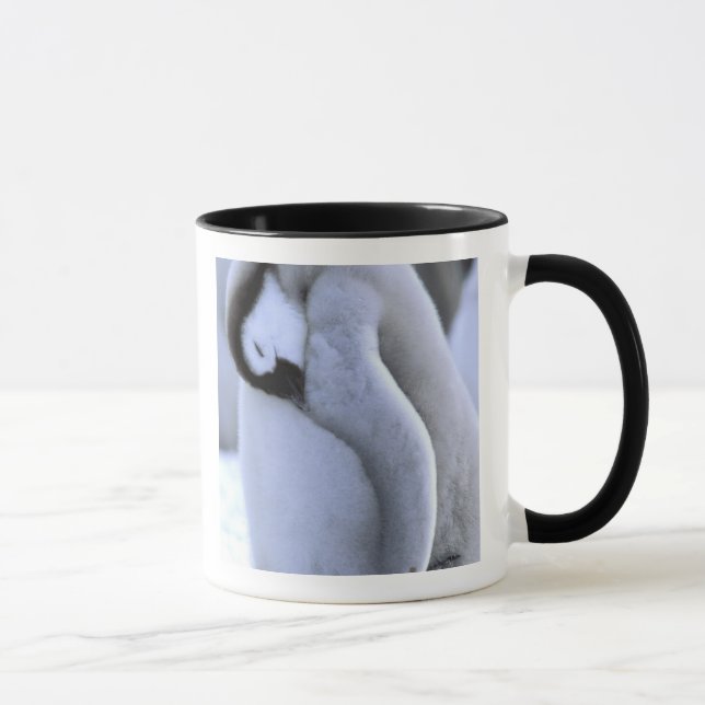 Penguin | Antarctic Peninsula, Weddell Sea Mug (Right)