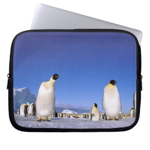 Penguin   Antarctica, Antarctic Peninsula Laptop Sleeve