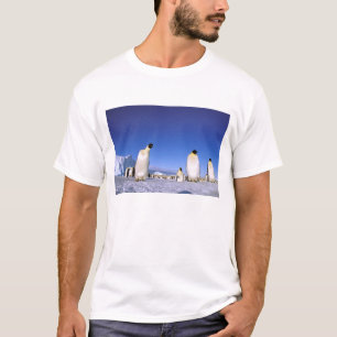Penguin   Antarctica, Antarctic Peninsula T-Shirt