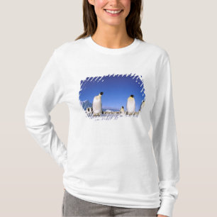 Penguin Antarctica, Antarctic Peninsula T-Shirt