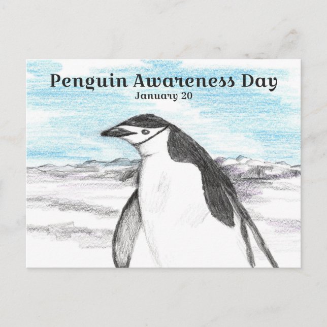 Penguin Awareness Day January 20 Winter Postcard (Front)