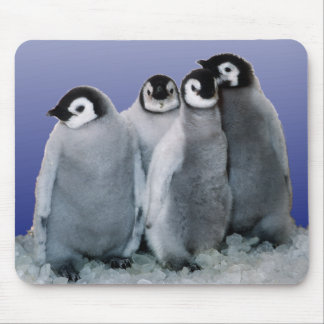 Penguin Babies Mouse Mat