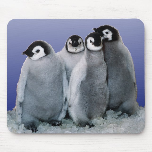 Penguin Babies Mouse Mat (Front)