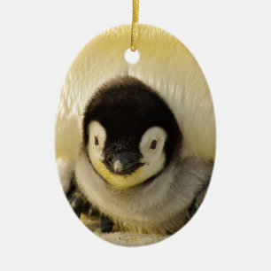 Penguin baby ceramic tree decoration