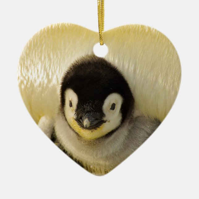 Penguin baby ceramic tree decoration (Front)