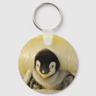 Penguin baby key ring