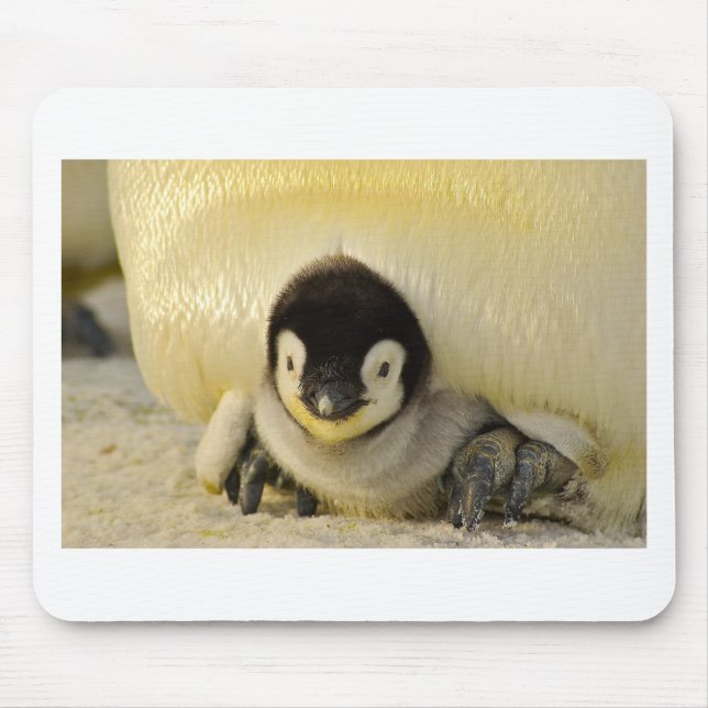 Penguin baby mouse mat (Front)