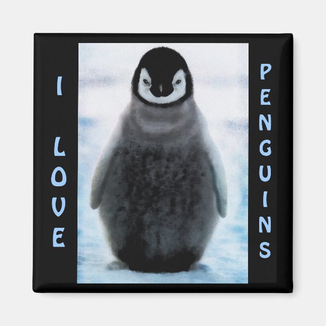 Penguin Baby Penguin-lover Fine Art Magnet (Front)
