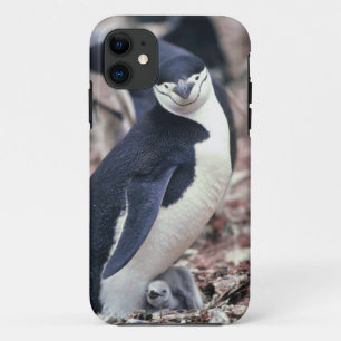 Penguin Bird Cute Animal Black White Water iPhone 11 Case