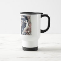Penguin Bird Cute Animal Black White Water