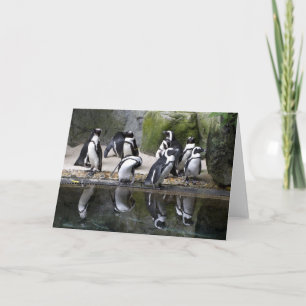 Penguin Blank Greeting Card
