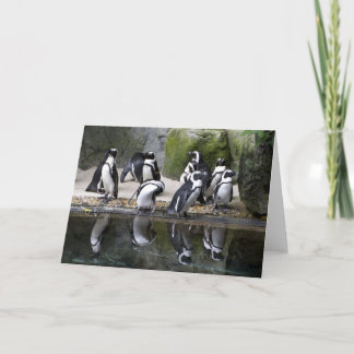 Penguin Blank Greeting Card