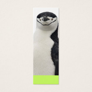 Penguin Book Group