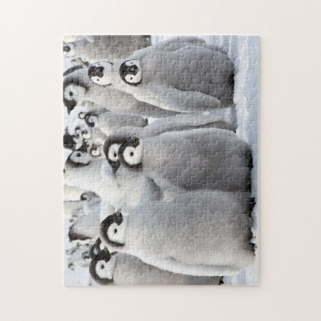 Penguin buddies jigsaw puzzle (Vertical)