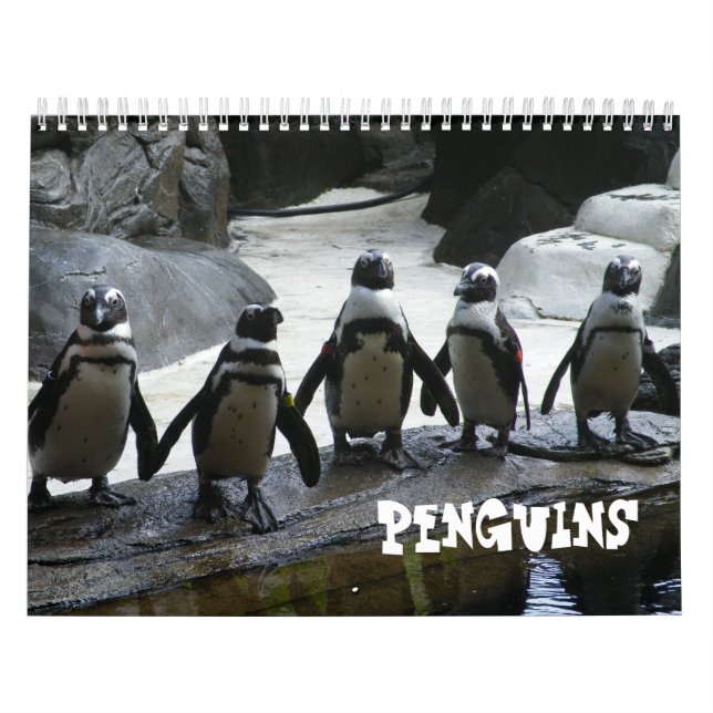 Penguin Calendar (Cover)