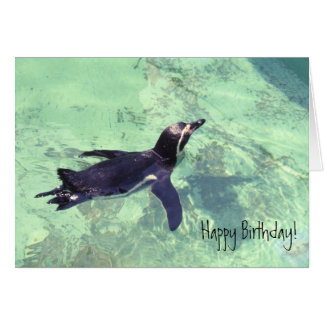 blue penguin ecard templates