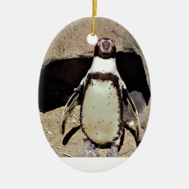 Penguin Ceramic Tree Decoration (Front)