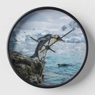 Penguin clock