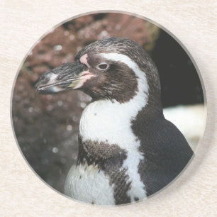 Penguin Coaster