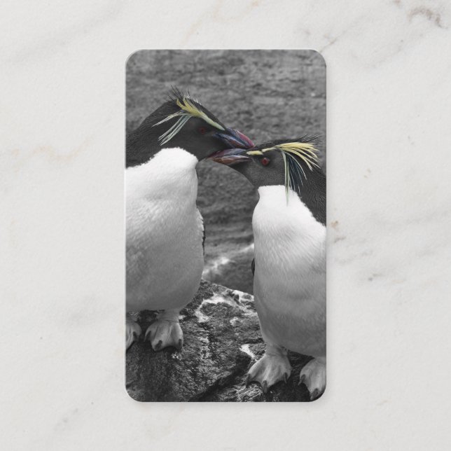 Penguin Colour Splash Business Card (Front)