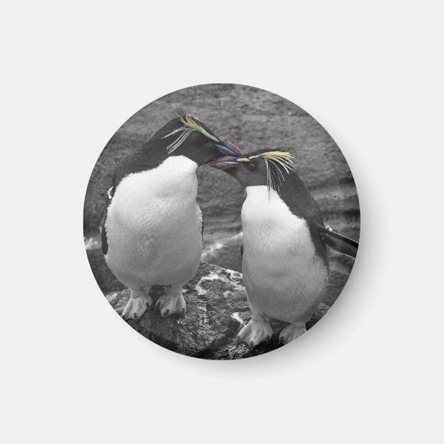 Penguin Colour Splash Magnet (Front)