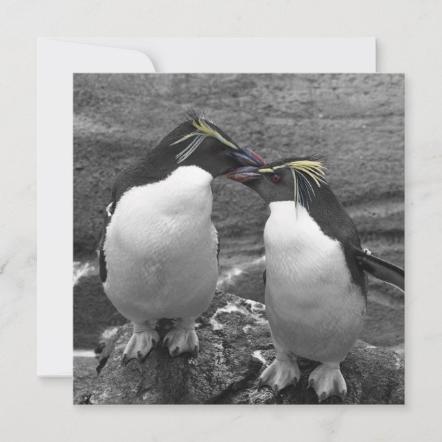 Penguin Colour Splash Save The Date (Front)