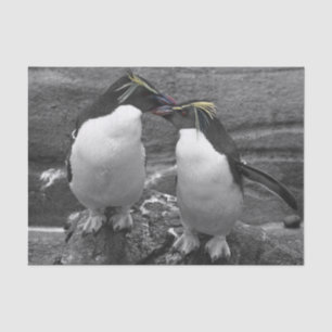 Penguin Colour Splash Tissue Paper