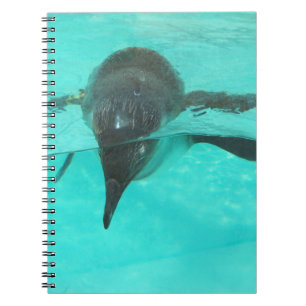 Penguin Diving Notebook