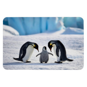 Penguin Family Magnet