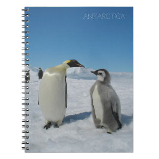 penguin family notebook
